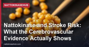 Nattokinase and Stroke Risk: What the Cerebrovascular Evidence Actually Shows