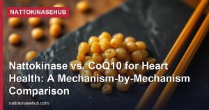 Nattokinase vs. CoQ10 for Heart Health: A Mechanism-by-Mechanism Comparison